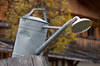 watering can douche